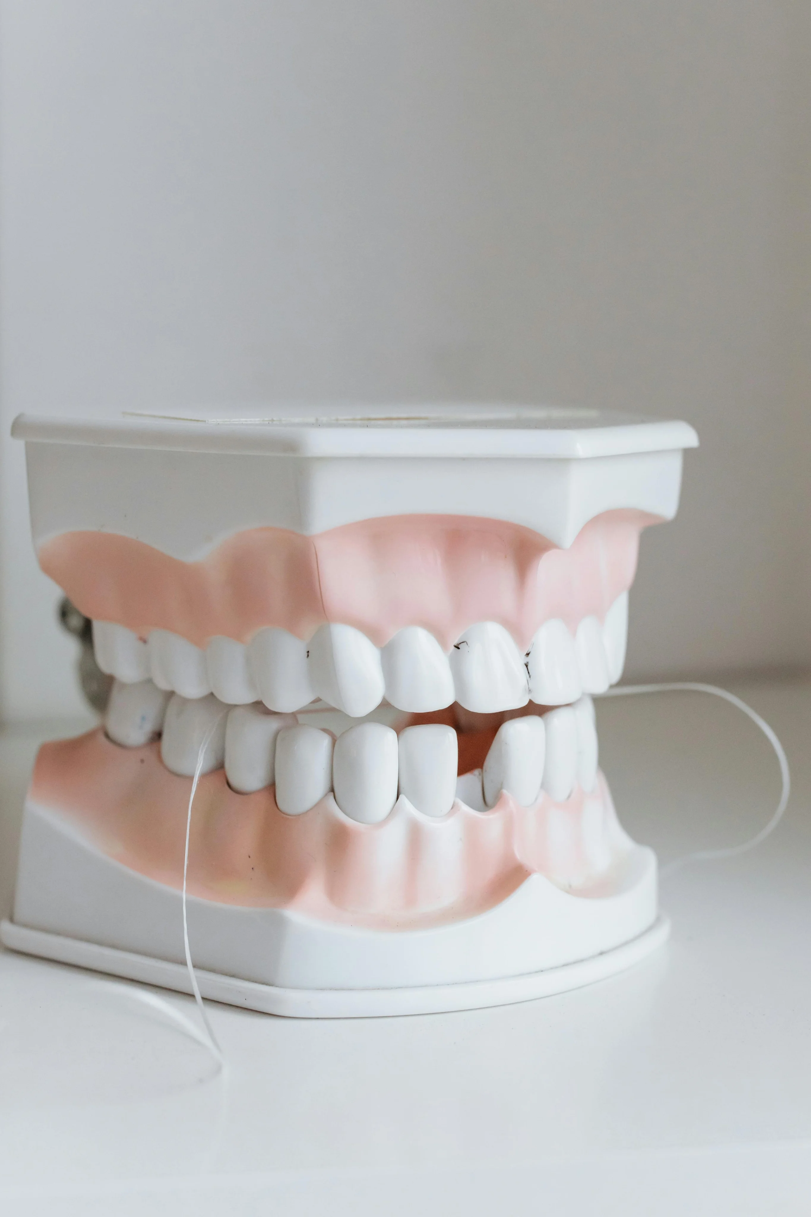 Smiling dentist